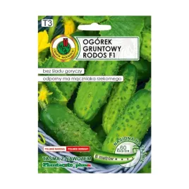 fasola-ogorek-gatunek-warzywa-nasiona-01-g