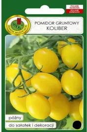 pomidor-gruntowy-koliber-pozny-do-salatek-i-dekoracji-nasiona-warzyw-05g
