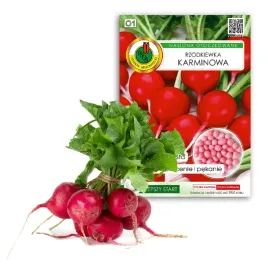 rzodkiewka-karminowa-pnos-nasiona-200-szt