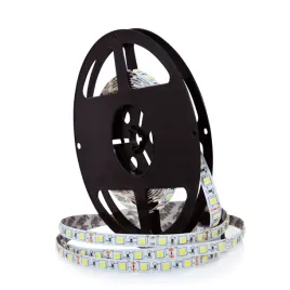 pasek-led-polux-lt-5060mcw0-1-12v-45w-5m-ip20-cw-2500lm