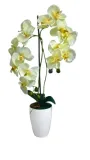 biopon-biopon-do-storczykow-05l-producent-bros