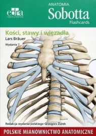 anatomia-sobotta-flashcards-kosci-stawy-pol-lars-brauer