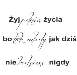 inspirujacy-cytat-na-sciane-zyj-pelnia-zycia-napis-do-salonu-motto-50x100