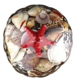 muszle-morskie-z-czerwona-rozgwiazda-koszyk-z-muszelkami-sr-26-cm