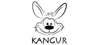 gra-ping-pong-jezykowy-kangur