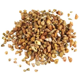 muszle-morskie-muszelki-ozdobne-naturalne-sr-5-10mm-100g-fascio-fascio