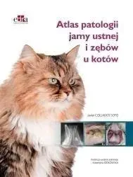 atlas-patologii-jamy-ustnej-i-zebow-u-kotow
