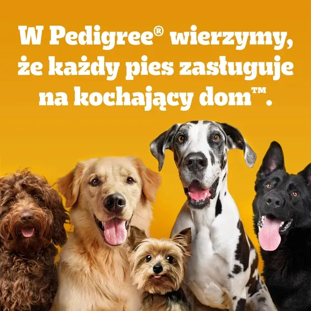 pedigree-markies-500g-kod-producenta-9485-marka-pedigree