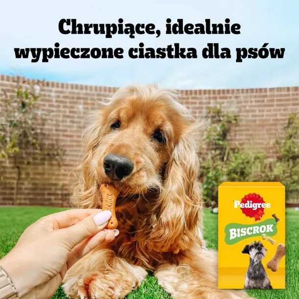 pedigree-multi-biscrok-500g-rodzaj-ciasteczka