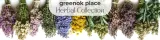 eukaliptus-lisc-ciety-100g-herbata-stres-kaszel-eucalyptus-globulus-stan-nowy