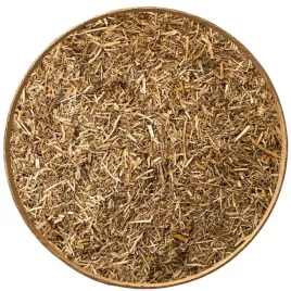 perz-wlasciwy-klacze-ciete-100g-pierzu-elymus-repens-rhizoma
