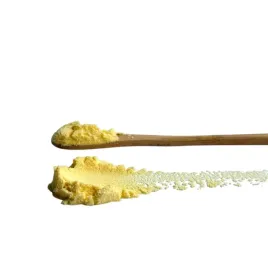 matcha-mango-1000g-herbata-w-proszku-naturalna-owocowa-latte-vegan