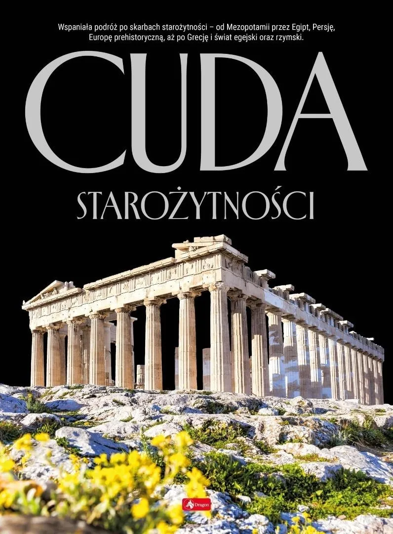Grafika w opisie produktu