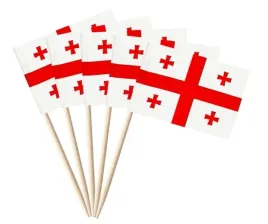 wykalaczki-mini-flagi-gruzji-10-sztuk