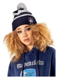 harry-potter-beanie-ravenclaw
