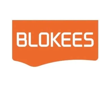 transformers-blokees-plastic-model-kit-classic-class-13-elita