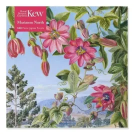 puzzle-500-elementow-widok-w-ogrodzie-brisbane-od-flame-tree