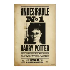 plakat-harry-potter-ikona-czarodzieja-numer-1-niepozadany