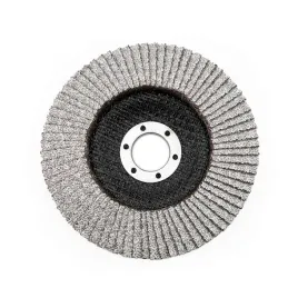 tarcza-lamelka-sciernica-listkowa-do-szlifowania-aluminium-stal-125-p36