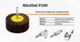 sciernica-trzpieniowa-listkowa-40x20x6-p100