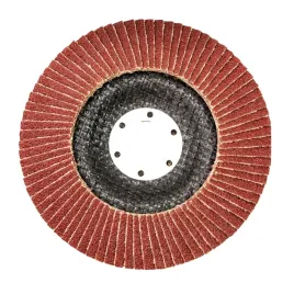 sciernica-listkowa-talerzowa-125mm-p24-germaflex