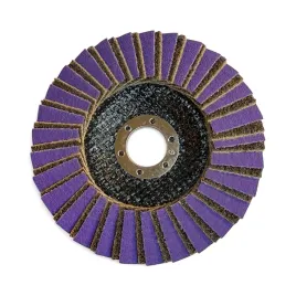 sciernica-listkowa-lamelka-purple-r-combi-125-mm-coarse