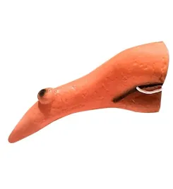 nos-na-gumce-czarownicy-wiedzmy-gumowy
