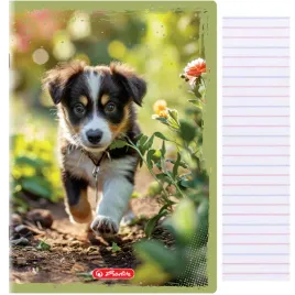 zeszyt-a4-32-kartki-3-w-linie-kolor-70g-m2-animals-herlitz