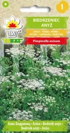 biedrzeniec-anyz-przyprawa-do-ciast-antybakteryjny