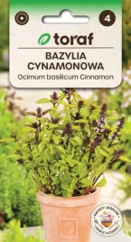 bazylia-cynamonowa-swietny-zapach-przyprawa