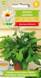 kozlek-lekarski-waleriana-na-uspokojenie-02g