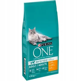 purina-one-adult-cat-chicken-sucha-karma-dla-kota-z-kurczakiem-975kg