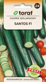 ogorek-santos-f1-pod-oslony-odmiana-profesjonalna