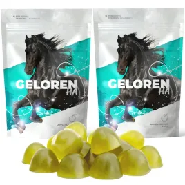 geloren-horse-ha-450g-zelki-dla-koni-jablkowe-na-stawy-kolagen-2x60-szt