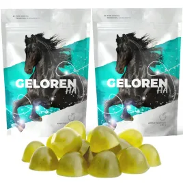 geloren-horse-ha-450g-zelki-dla-koni-jablkowe-na-stawy-kolagen-2x60-szt