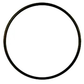 oring-uszczelka-do-filtrow-wody-korpus-osmoza-ro-akcesoria-serwisowe