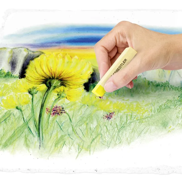 pastele-suche-48-kolorow-staedtler-s2430-marka-staedtler-kolor-wielokolorowy