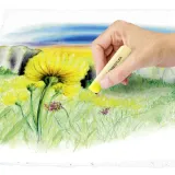 pastele-suche-48-kolorow-staedtler-s2430-marka-staedtler-kolor-wielokolorowy