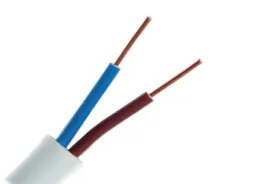 przewod-ydy-2x15-450-750v-drut-okragly-bialy-elpar-cena-za-1m