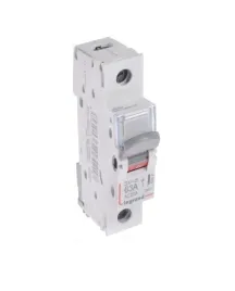 legrand-rozlacznik-instalacyjny-modulowy-1p-20a-fr301