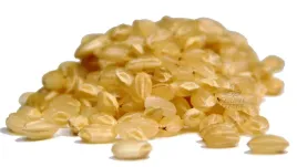 ryz-naturalny-okragly-pelnoziarnisty-5kg