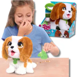 furreal-piesek-king-charles-spaniel-robi-kupke