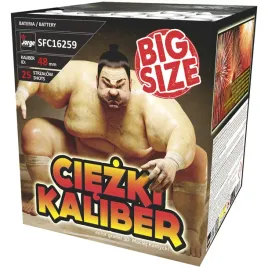 ciezki-kaliber-sfc16259-25-strzalow-1-9