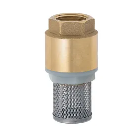 kosz-ssawny-z-zaworem-zwrotnym-geka-z-gw-bspp-g-2-pn-8-bar-oryg