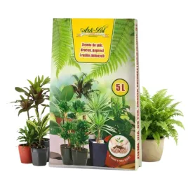 ziemia-do-juk-dracen-paproci-i-roslin-zielonych-5l