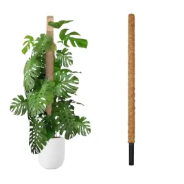 podpora-do-roslin-kwiatow-pnacych-palik-do-pomidorow-kokosowy-tyczka-100cm