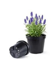 doniczka-plastykowa-produkcyjna-okragla-duza-do-rozsady-sadzonki-15-l