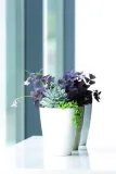 doniczka-do-storczykow-orchidei-duko130-oslonka-stan-nowy