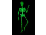 fluorescencyjny-szkielet-150-cm