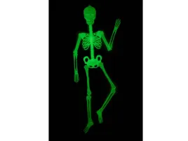 fluorescencyjny-szkielet-150-cm